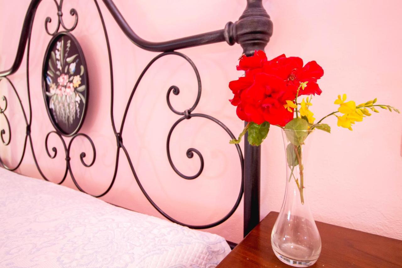Agriturismo Poggio Pistolese Монтайоне Екстериор снимка